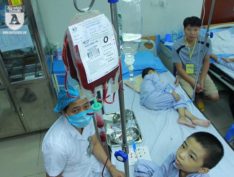 Cận cảnh nơi điều chế máu lớn nhất Việt Nam